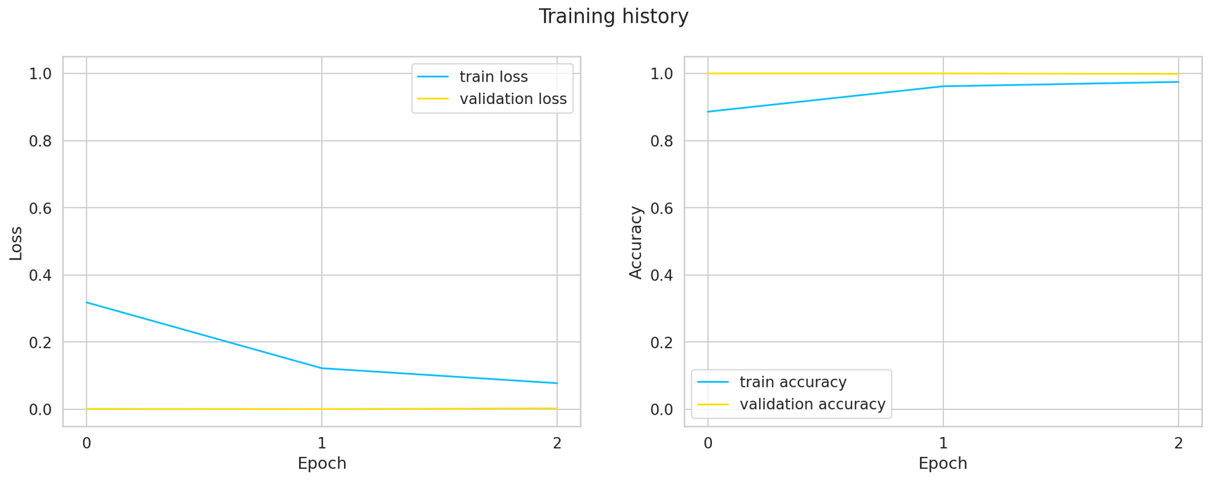 Transfer Learning for Image Classification using Torchvision, Pytorch ...